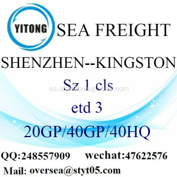 Flete mar del puerto de Shenzhen a Kingston